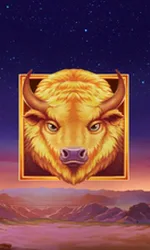Buffalo's Sun 2